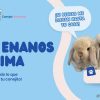 conejos enanos en lima