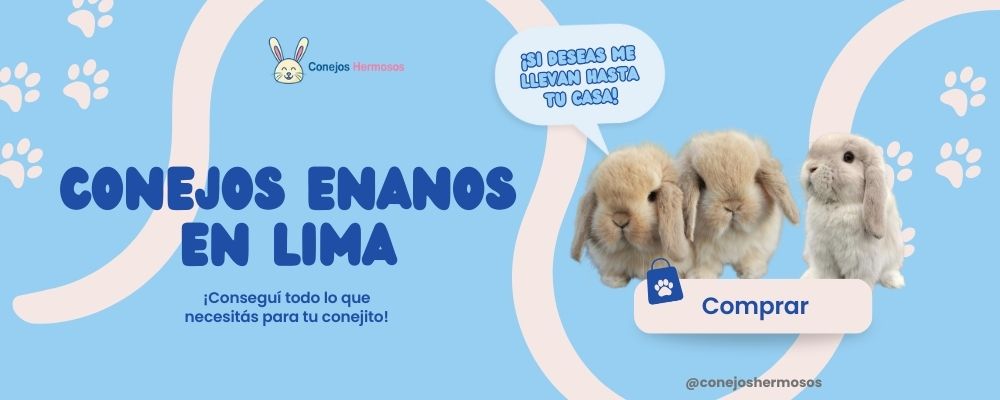 Comprar Conejos en Lima